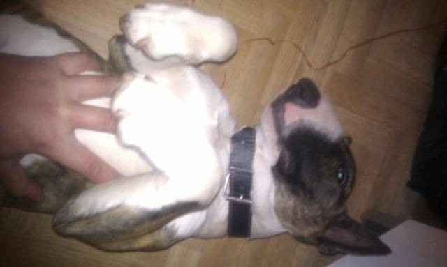 IMAG0922.jpg -