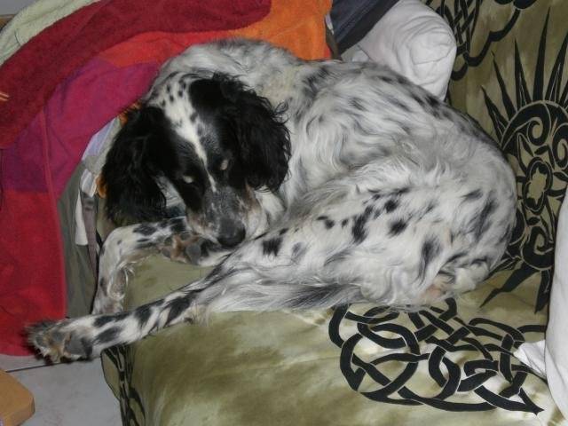 Scott, grosse fatigue en flagrand délit ! -