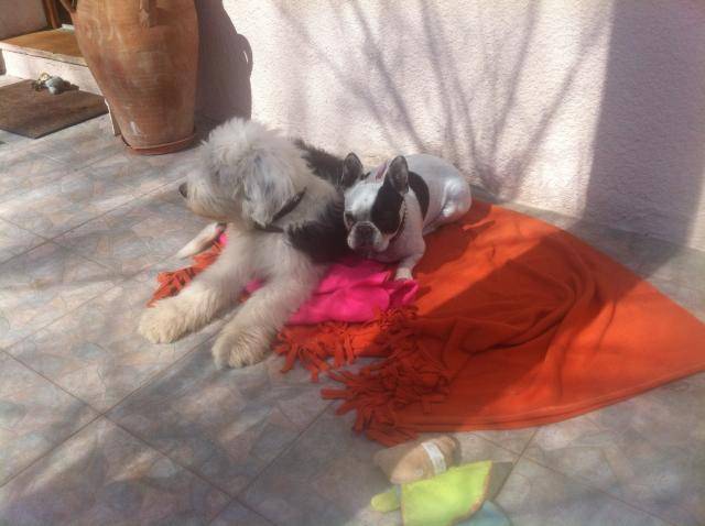 Vanina et Marlon -
