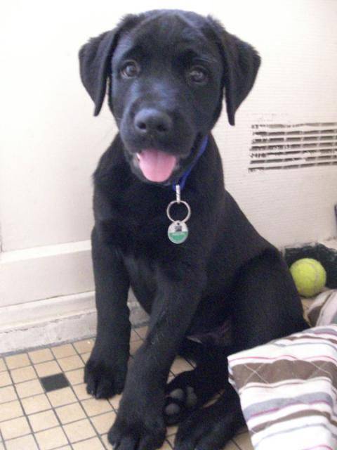 182005_200829629934554_100000225562007_837382_7929151_n.jpg -