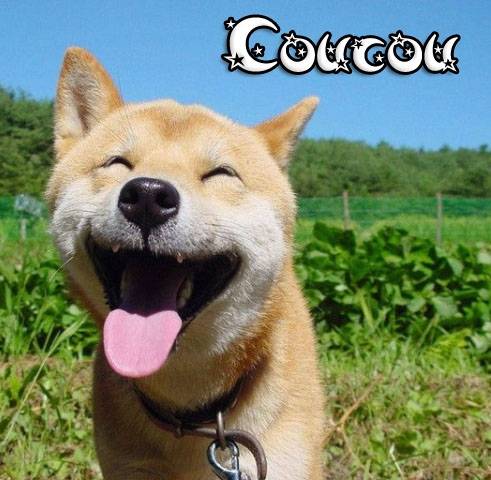 COUCOU -