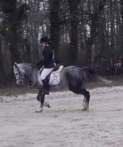 victoire - (6 ans)