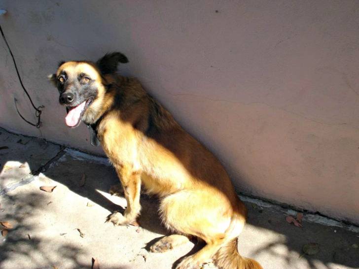 Brida, tiempo de baño - (7 ans)