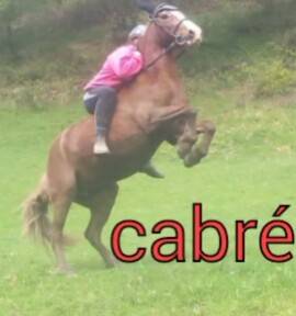 noisette - (16 ans)