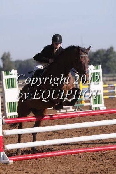 lotti - (1 an)