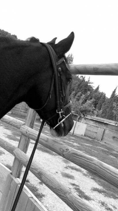 Zatara - (11 ans)