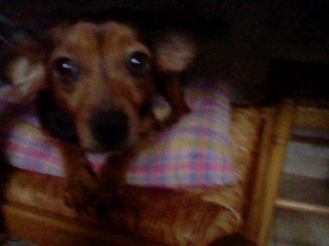 Nina - (6 ans)