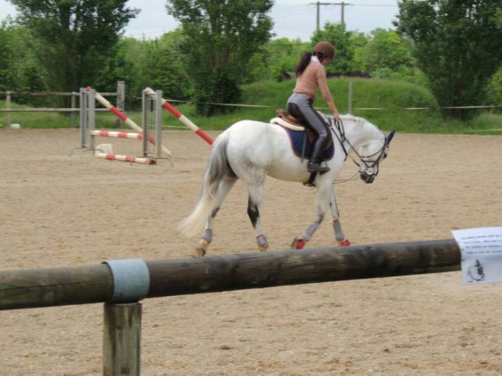 Tilinaro - Mâle (6 ans)