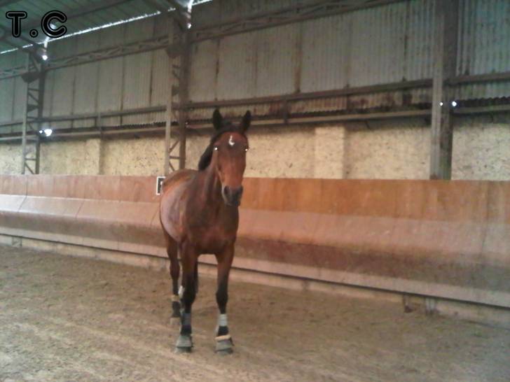 Jades des Falaises - (9 ans)