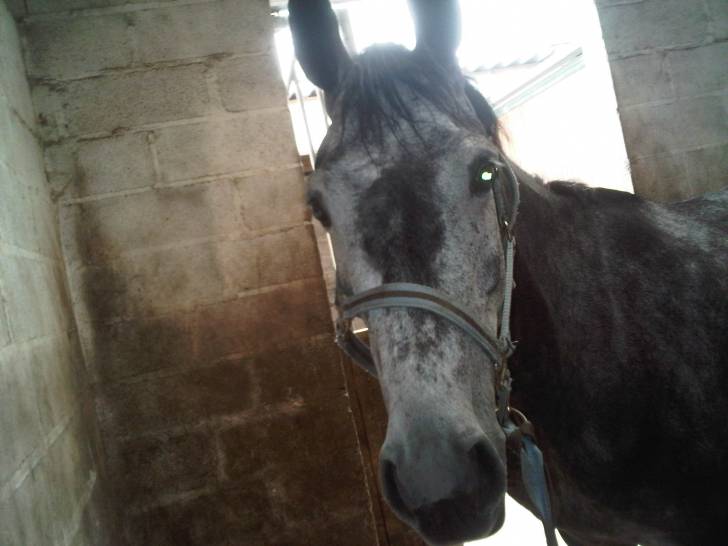 Hope - (5 ans)