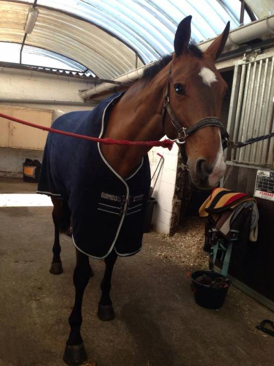 Vorozo - (4 ans)
