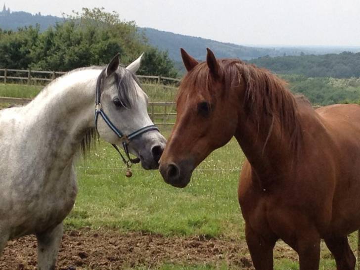 Kikinoki et Holly - (8 ans)