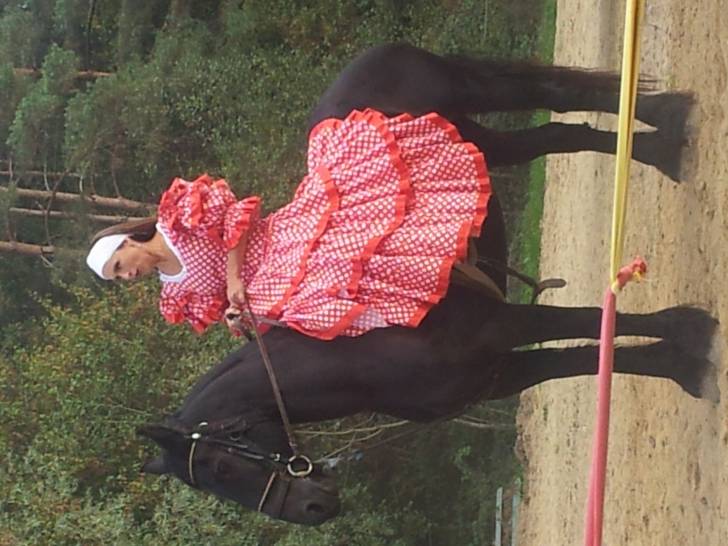 pechka -