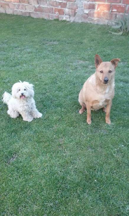 Lola y Magui - (12 ans)