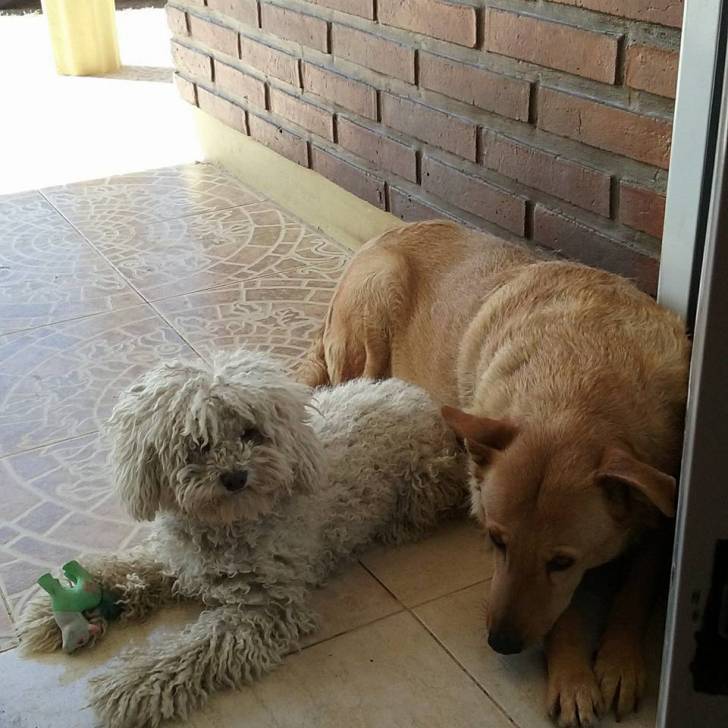 Lola y Magui - (2 ans)