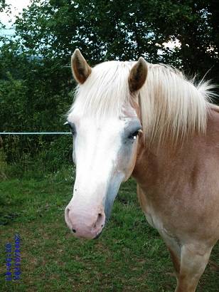 Femke - (20 ans)