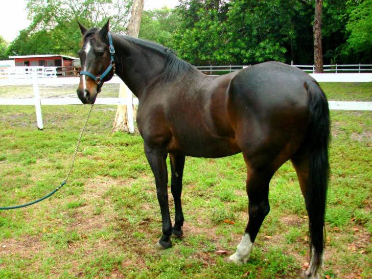 Total Eclipse - (5 ans)