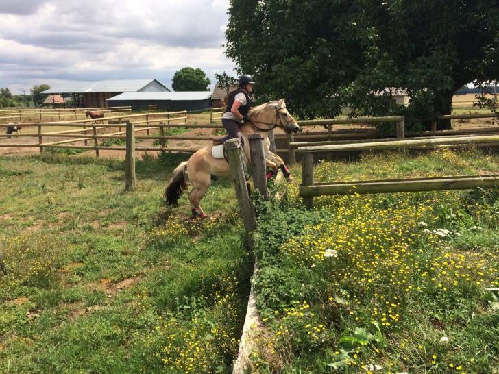 Lutin - Mâle (7 ans)