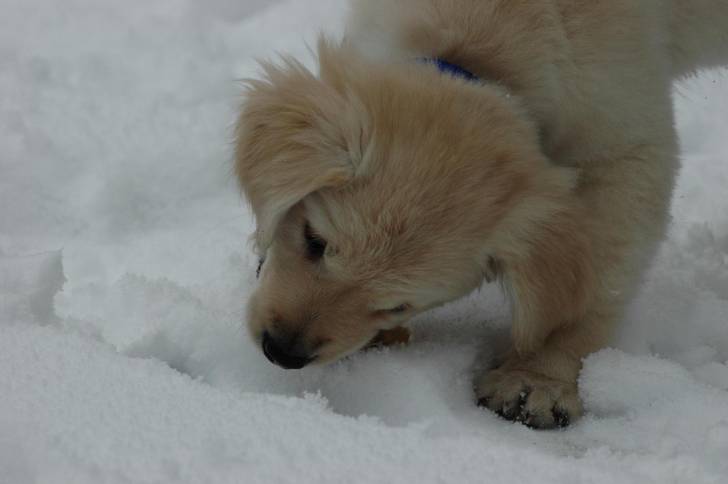 Mmmmmm c'est froid -