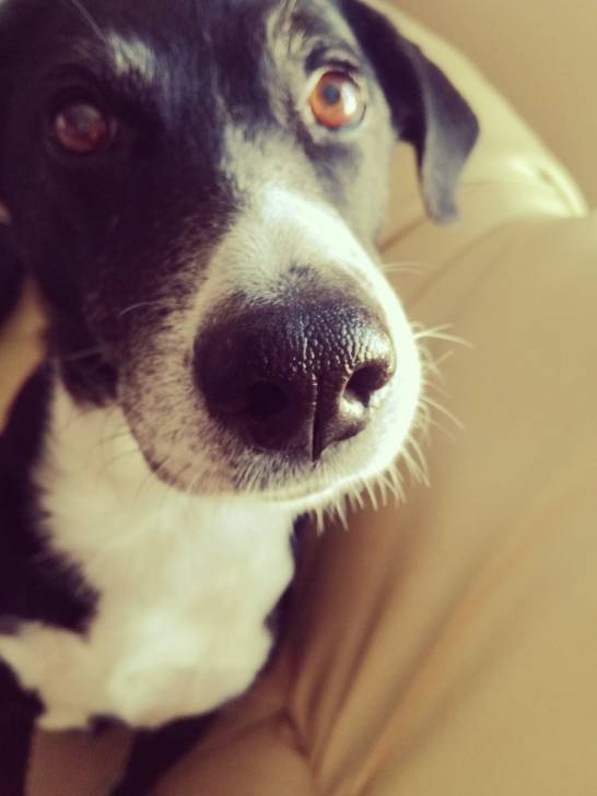 Katanka - (11 ans)