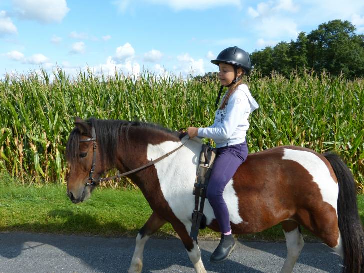 Vasuly Salsa - Mâle (6 ans)