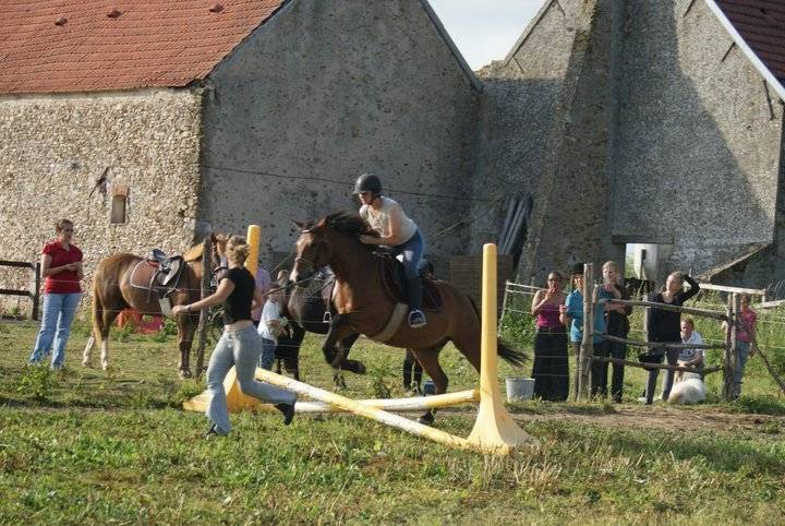 Mes premiers sauts - Mâle (5 ans)