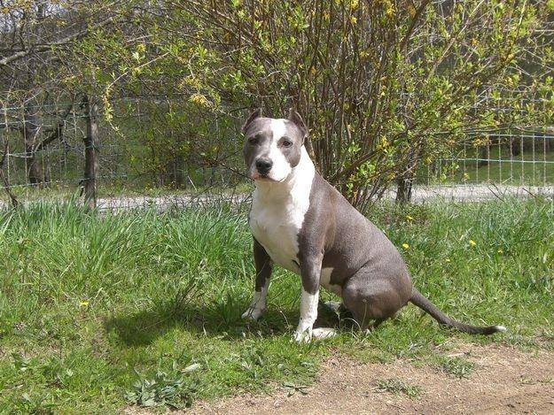 Naïma - (2 ans)