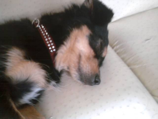 maya quand elle dore - (3 ans)