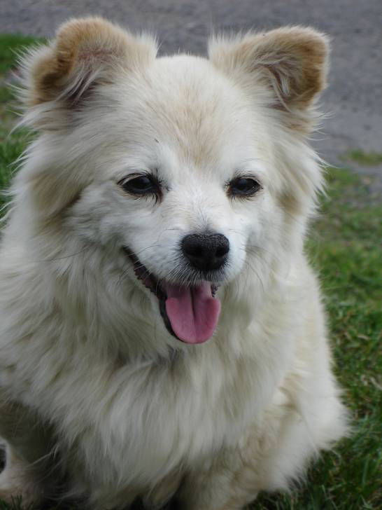 Jacadi - (9 ans)