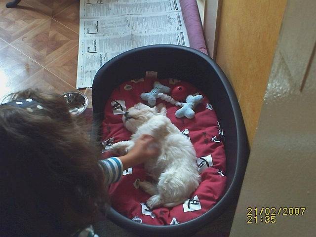 Eliott - Mâle (3 mois)