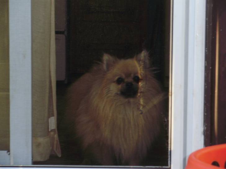 Winnie - (2 ans)