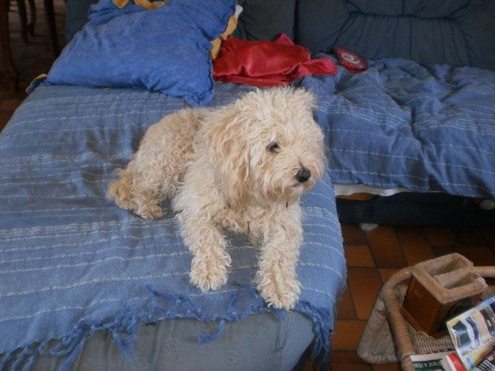 zoe -