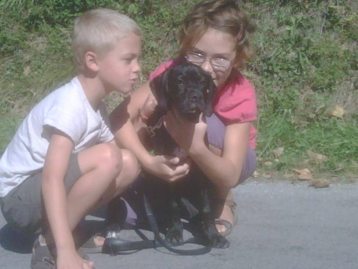 ébony - Femelle (2 ans)