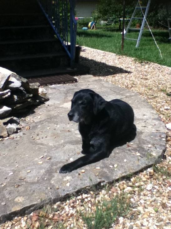 reglisse - (12 ans)