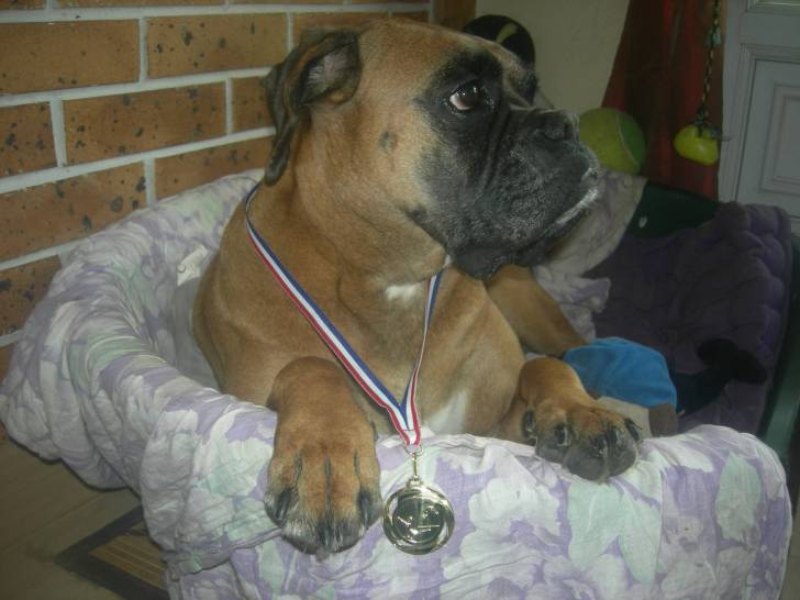 bidule - Femelle (2 ans)