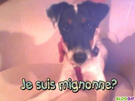 Pépite - Femelle (5 mois)