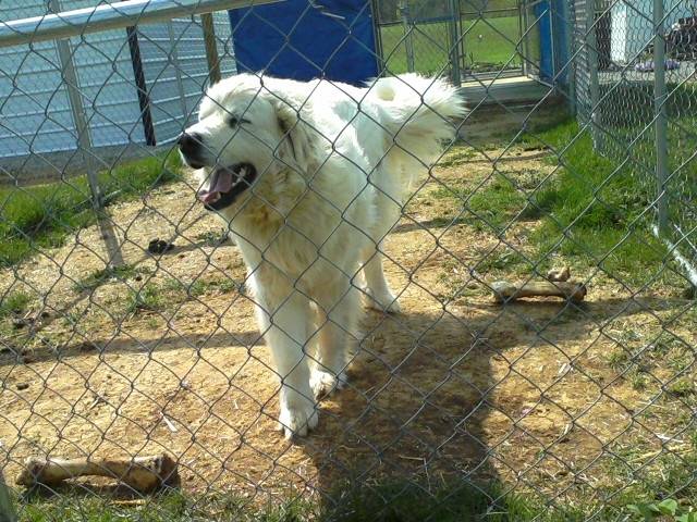Lilly - (2 ans)