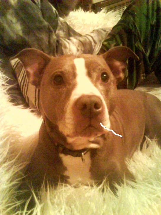 zara - (3 ans)