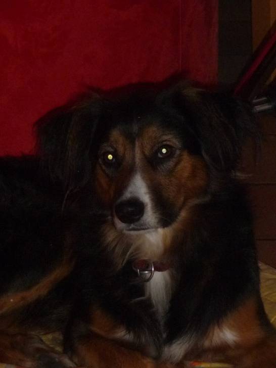 Xena - (2 ans)
