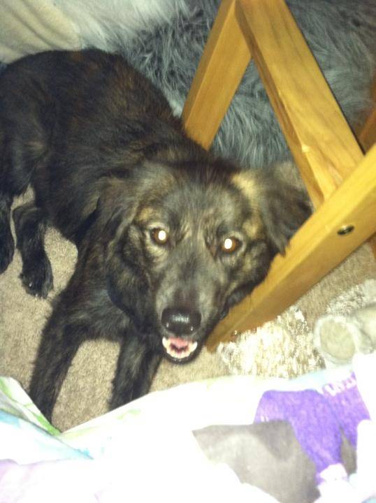 Sally - (5 ans)