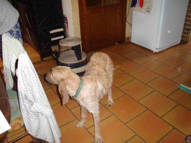 LOLA - (1 an)