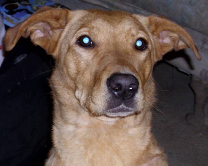Serenity - (2 ans)