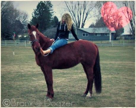 Tennessee Red - (11 ans)