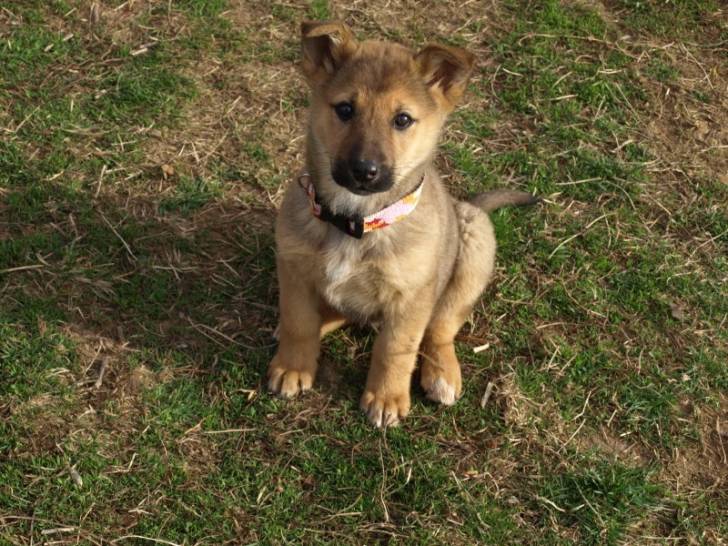 Molly Mae - (2 mois)