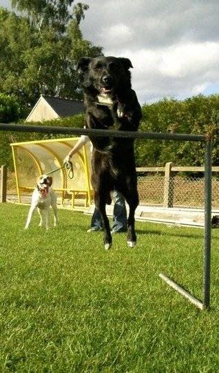 Luna - (5 ans)