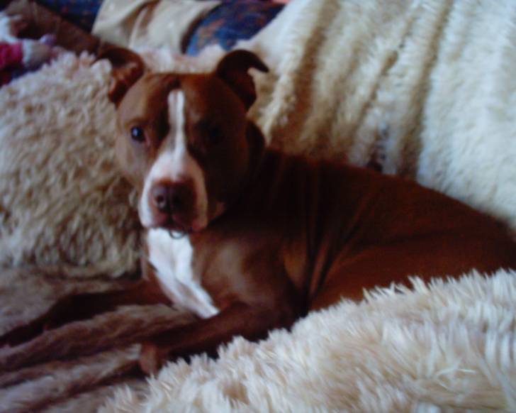 zara - (6 ans)