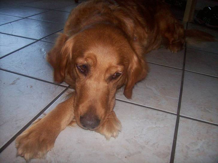 Sandy - (8 ans)
