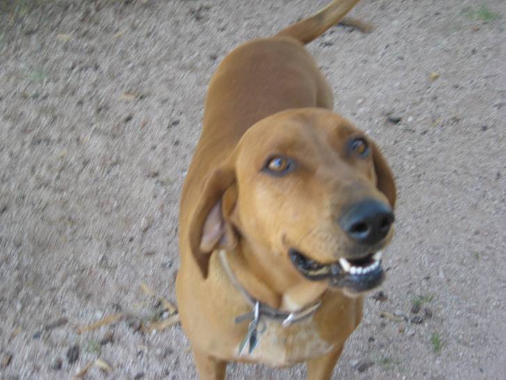 zeezee - (7 ans)