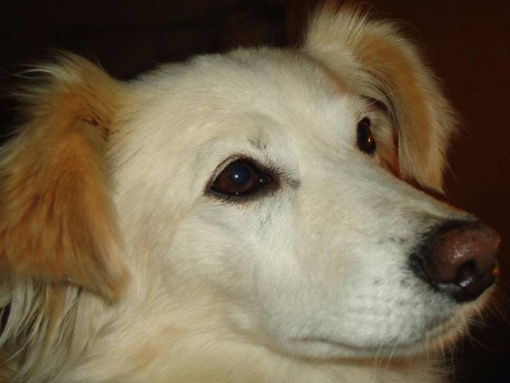 misti - (9 ans)