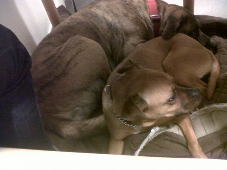 kira y badu - (6 mois)